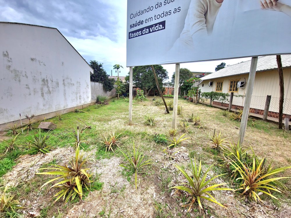 Terreno - Venda - Revoredo - Tubarão - SC